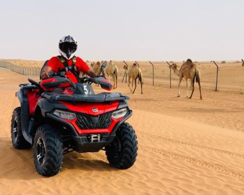 2 Hour quad biking with guide : 450 AED / Head